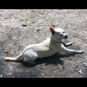 Meet your Posher, Lynn